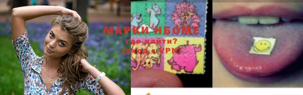 прущие грибы Аркадак