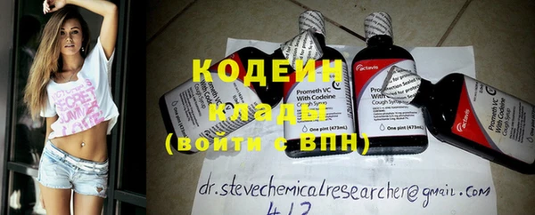 прущие грибы Аркадак