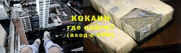 прущие грибы Аркадак