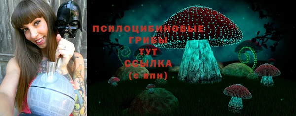 прущие грибы Аркадак