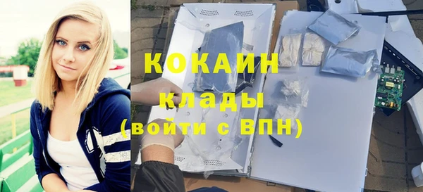 прущие грибы Аркадак