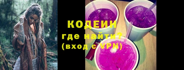 прущие грибы Аркадак
