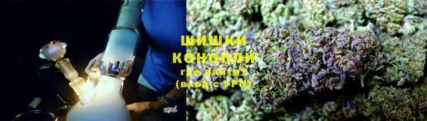 прущие грибы Аркадак