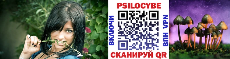 Псилоцибиновые грибы GOLDEN TEACHER Полесск